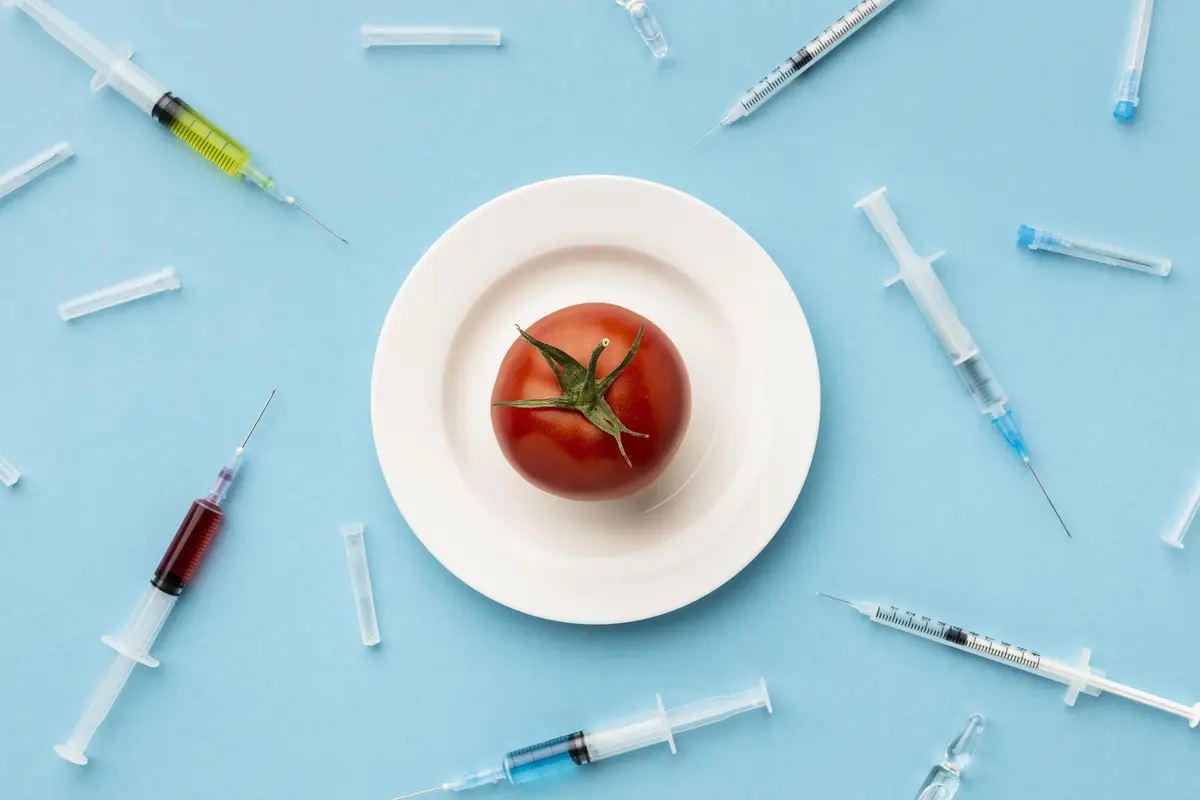 Gmo modified tomato and syringes